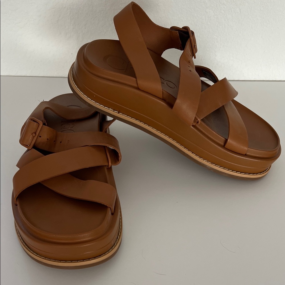 Chaco Brown Leather Sandals